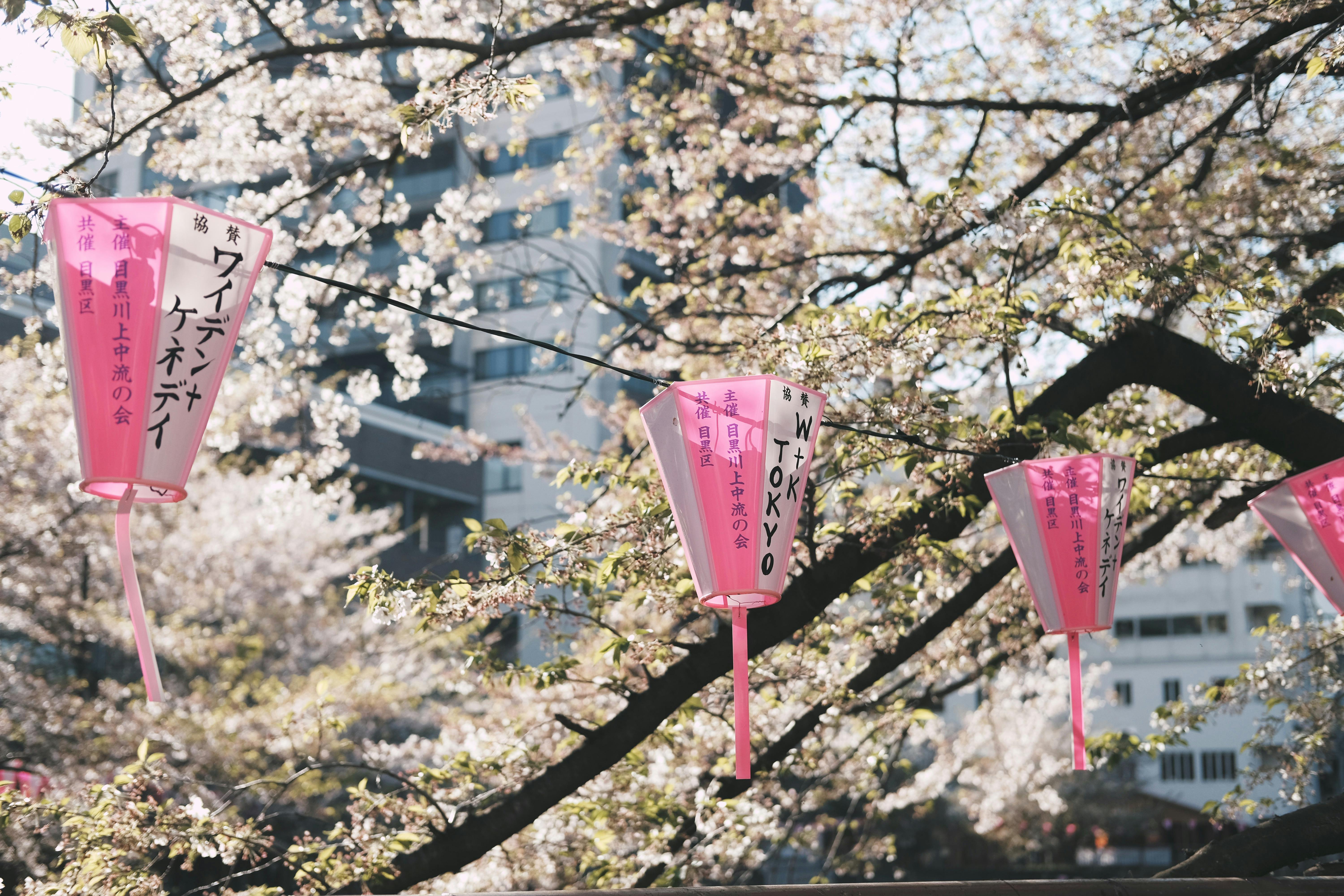 Tokyo 3